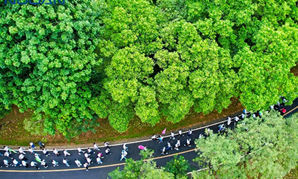 凝心同行，聚力共赢丨william威廉英国官网2024年松山湖环湖徒步行记