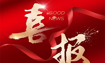 喜报丨william威廉英国官网入选2024粤港澳大湾区企业创新力榜单